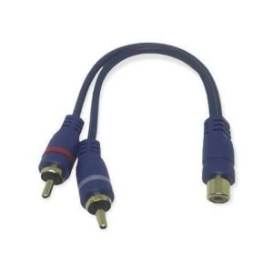 Y ENGLAND 2 RCA MACHO A 1 RCA HEMBRA